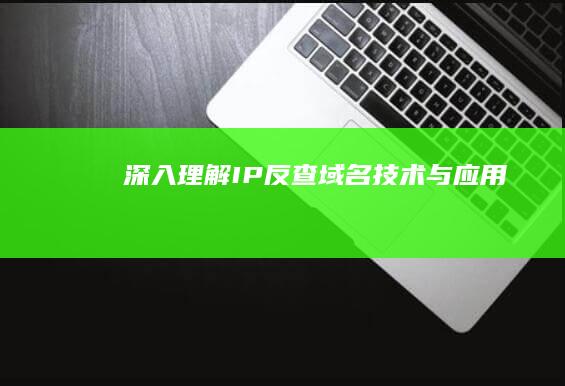 深入理解IP反查域名技术与应用